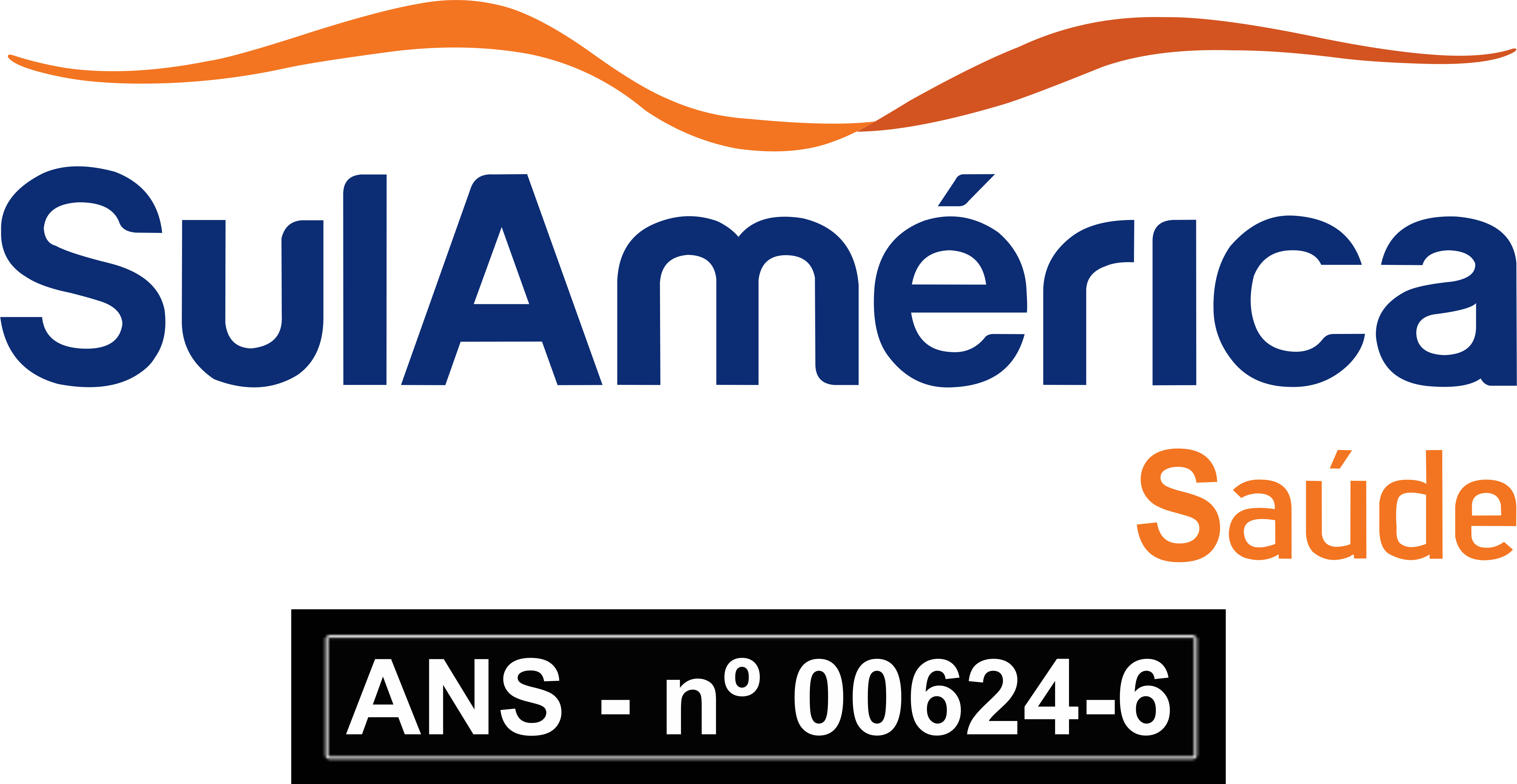 Logo Sul Am Rica