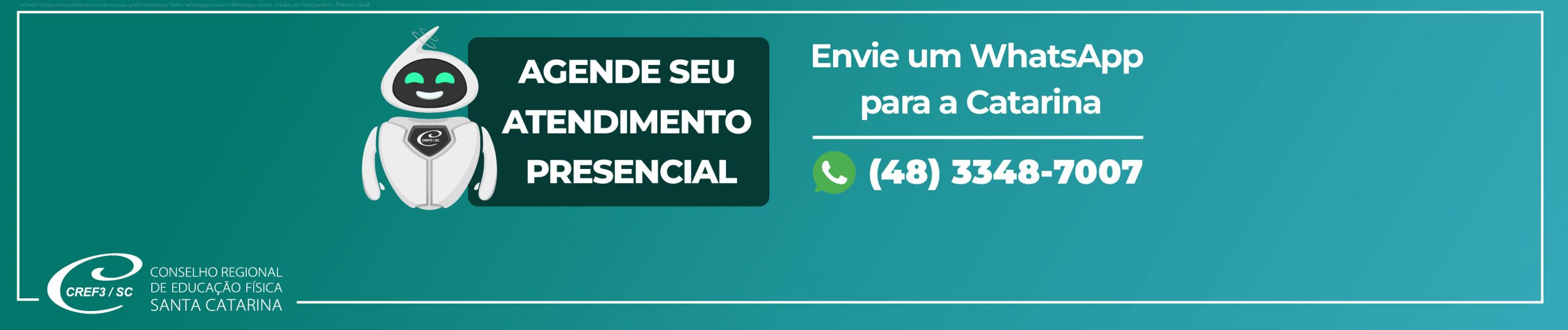 CREF3/SC altera horários de atendimento externo durante os jogos da seleção  brasileira na Copa do Mundo - CREF3/SC - Conselho Regional de Educação  Física de SC